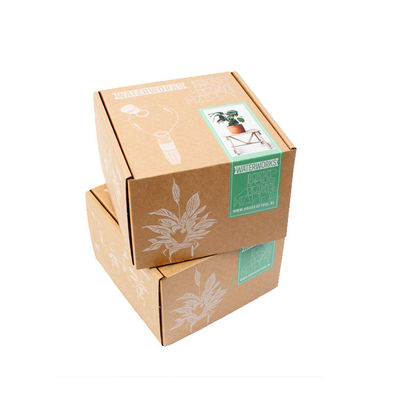 Custom Printed Paper Corrugated Cardboard Grown Live Plant Shipping Box For Plant Packaging